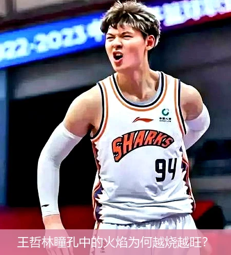 4月8日讯,王哲林瞳孔中的火焰为何越烧越旺？