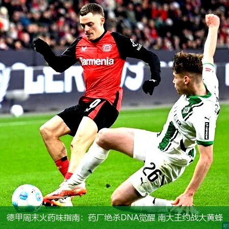 4月13日讯,德甲周末火药味指南：药厂绝杀DNA觉醒 南大王约战大黄蜂