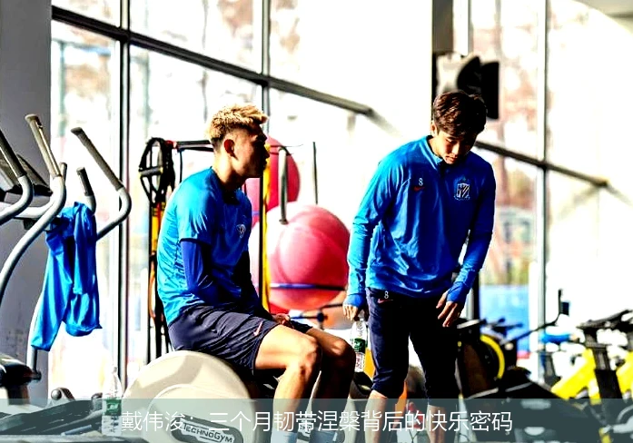 戴伟浚:三个月韧带涅槃背后的快乐密码