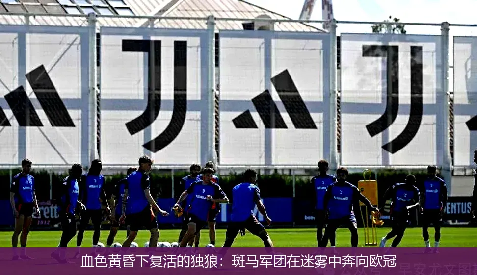 4月29日,血色黄昏下复活的独狼：斑马军团在迷雾中奔向欧冠