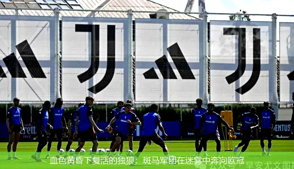 血色黄昏下复活的独狼:斑马军团在迷雾中奔向欧冠