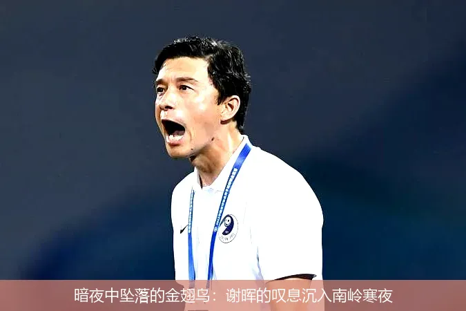 暗夜中坠落的金翅鸟:谢晖的叹息沉入南岭寒夜