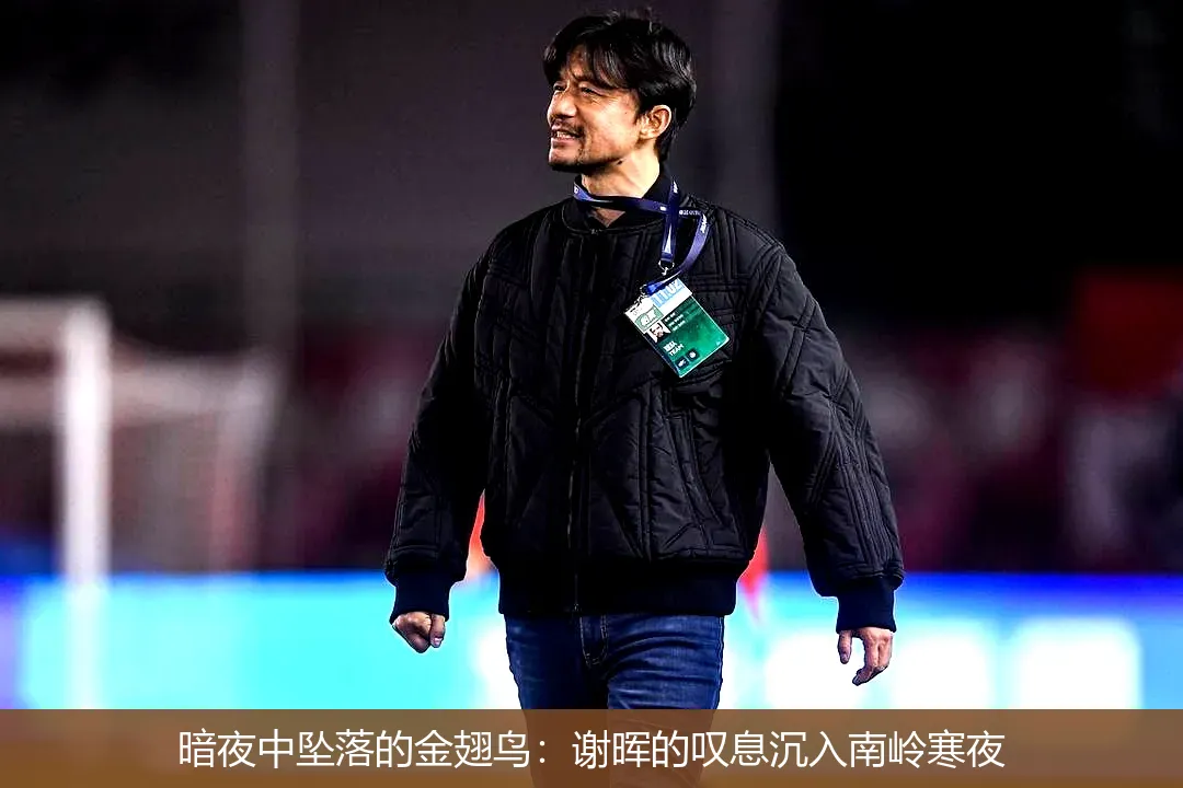 4月29日,暗夜中坠落的金翅鸟：谢晖的叹息沉入南岭寒夜