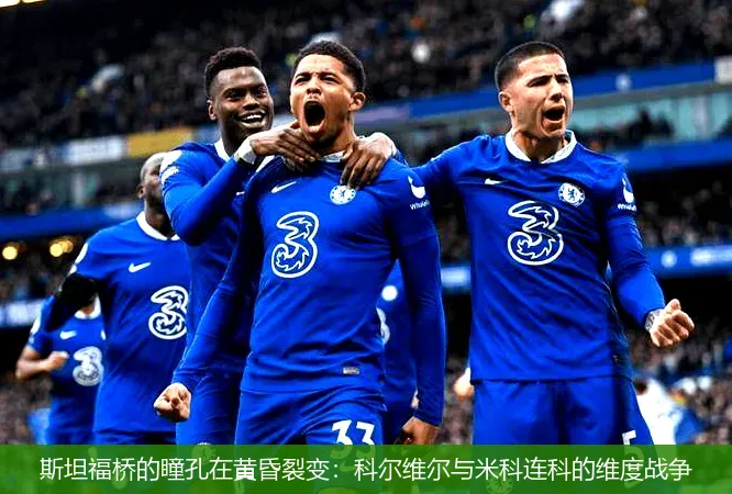 4月29日,斯坦福桥的瞳孔在黄昏裂变：科尔维尔与米科连科的维度战争