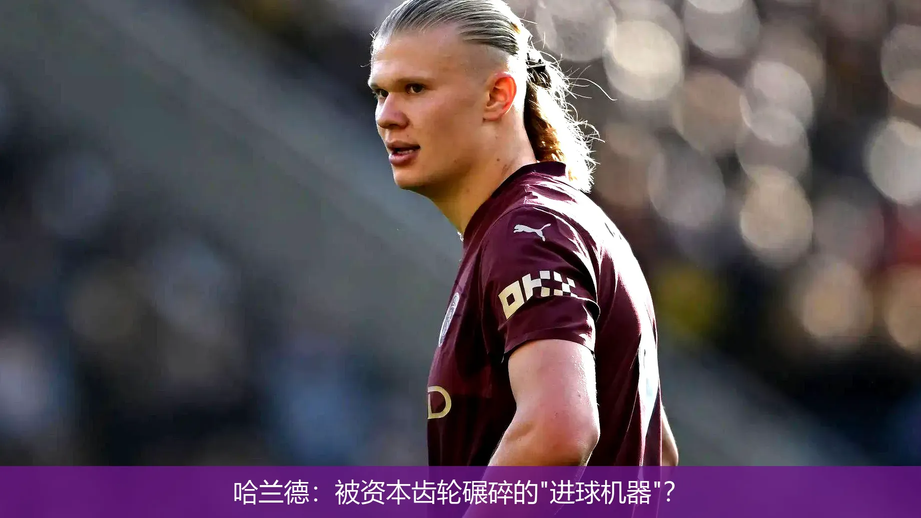 哈兰德:被资本齿轮碾碎的