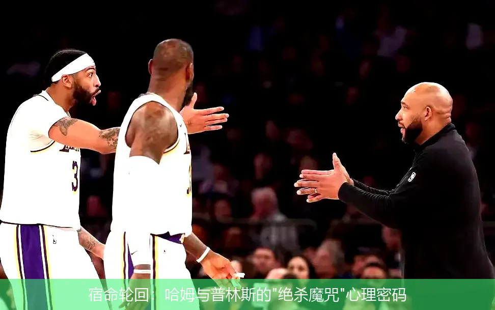 宿命轮回:哈姆与普林斯的