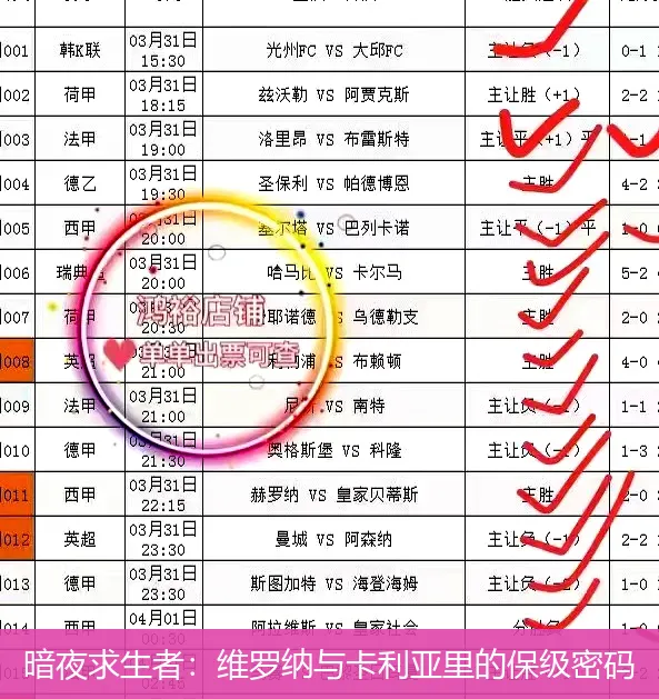 暗夜求生者:维罗纳与卡利亚里的保级密码